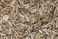 biomass boilers Jerviswood